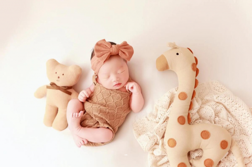 伊犁宝宝虾的做法